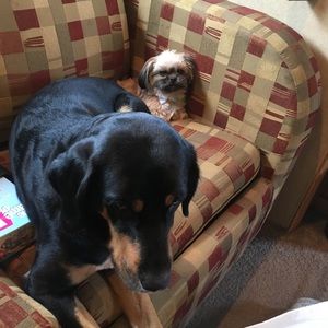 Meet your Posher, Jason